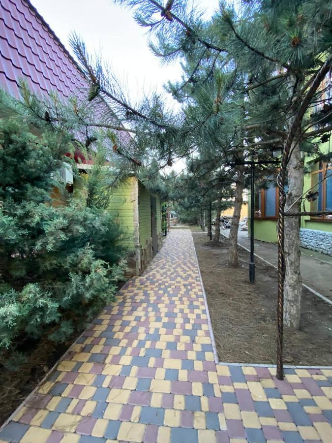 Villa Sosnovy Bor Zatoka Bagian luar foto