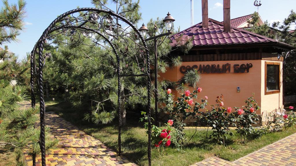 Villa Sosnovy Bor Zatoka Bagian luar foto