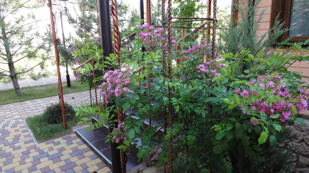Villa Sosnovy Bor Zatoka Bagian luar foto