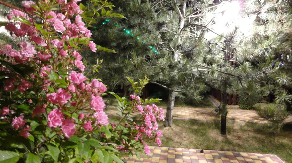 Villa Sosnovy Bor Zatoka Bagian luar foto