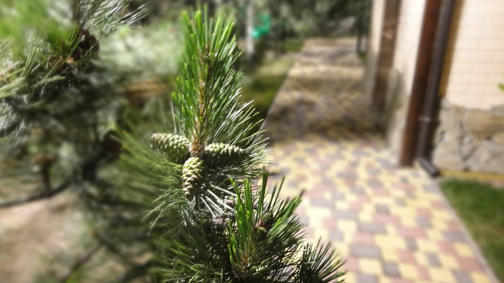 Villa Sosnovy Bor Zatoka Bagian luar foto