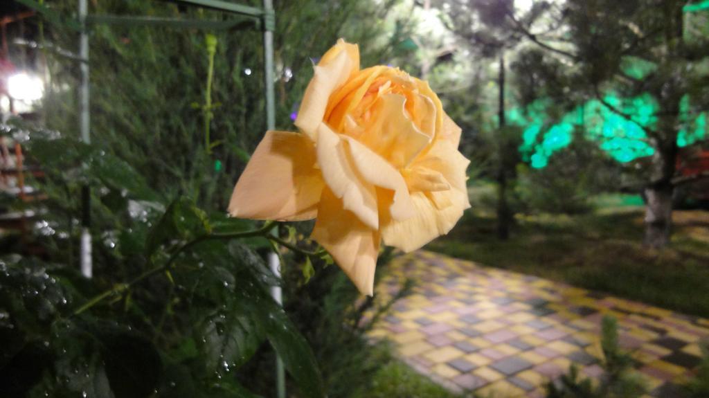 Villa Sosnovy Bor Zatoka Bagian luar foto
